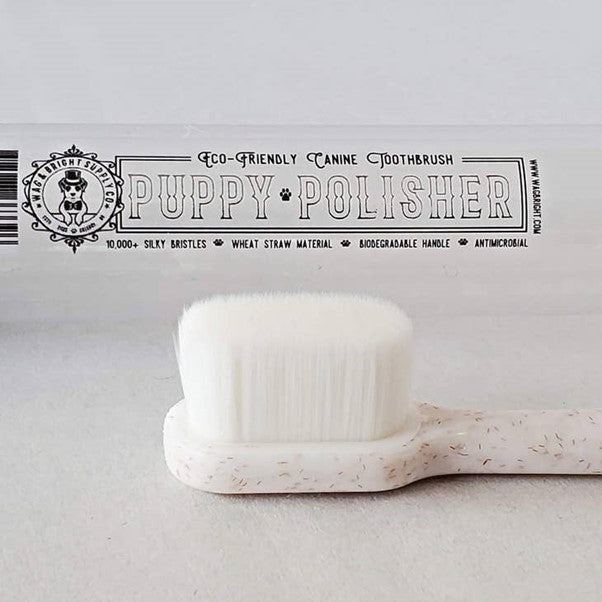 Wag & Bright Supply Co. | Puppy Polisher Eco Toothbrush