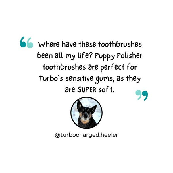 Wag & Bright Supply Co. | Puppy Polisher Eco Toothbrush