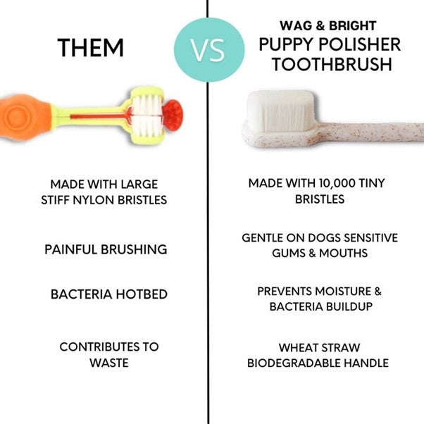 Wag & Bright Supply Co. | Puppy Polisher Eco Toothbrush