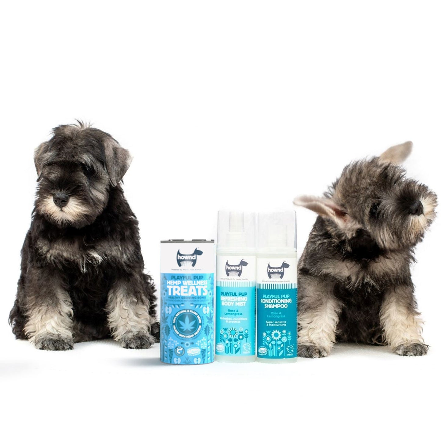 Hownd - Playful Pup Hemp Wellness Treats