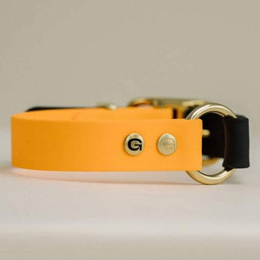 GULA | Dog Collar (Orange & Black)