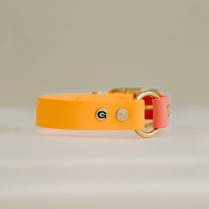GULA | Dog Collar (Orange & Pink)