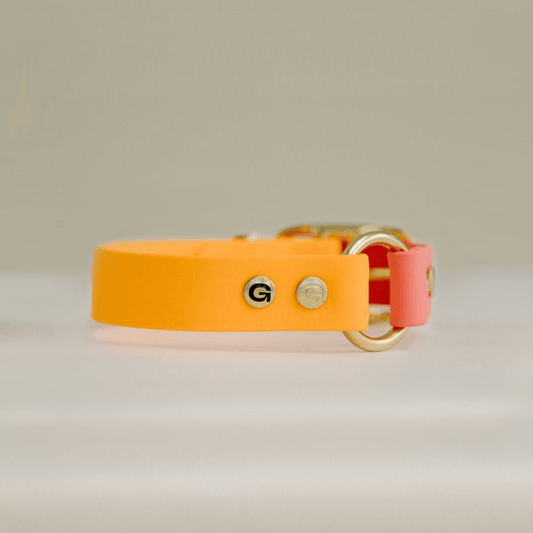 GULA | Dog Collar (Orange & Pink)