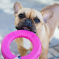 Dog's Life | Natural Rubber Stuffable Gloop Loop - Dog Toy