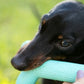 Dog's Life | Natural Rubber Fetchstix - Dog Toy