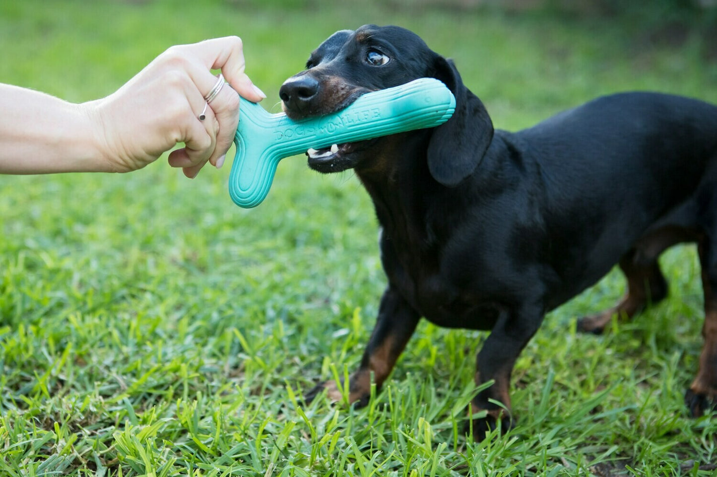 Dog's Life | Natural Rubber Fetchstix - Dog Toy