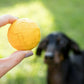 Dog's Life - Natural Rubber Ball | Africa Ball Dog Toy