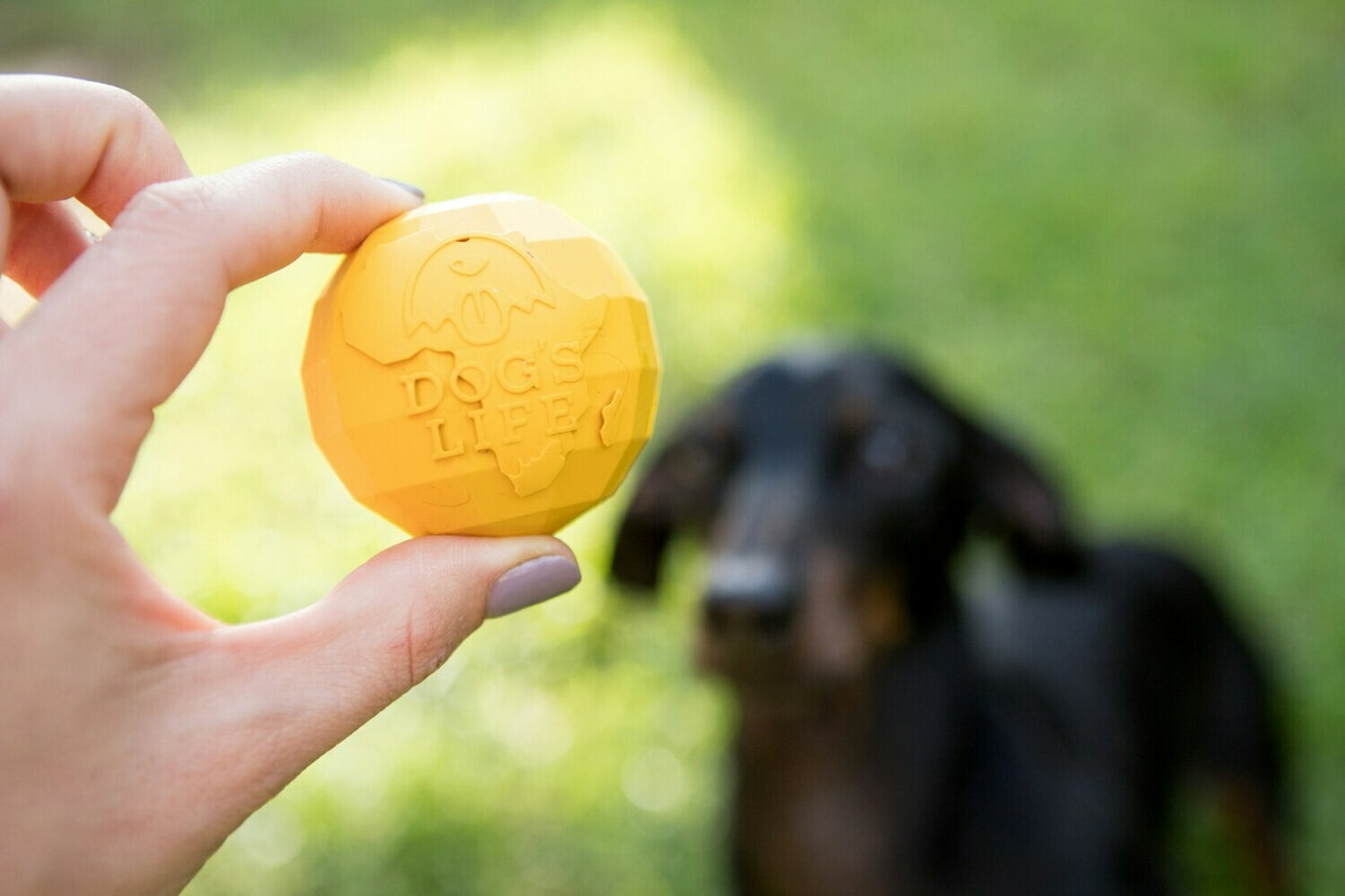 Dog's Life - Natural Rubber Ball | Africa Ball Dog Toy