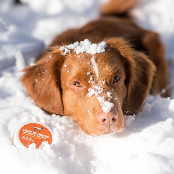 Hownd | Hemp By Hownd Skin Nose And Paw Balm With Sun Protection