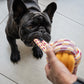 Dog's Life | Rope Knot Ball - Dog Toy