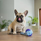 Dog's Life | Rope Knot Ball - Dog Toy