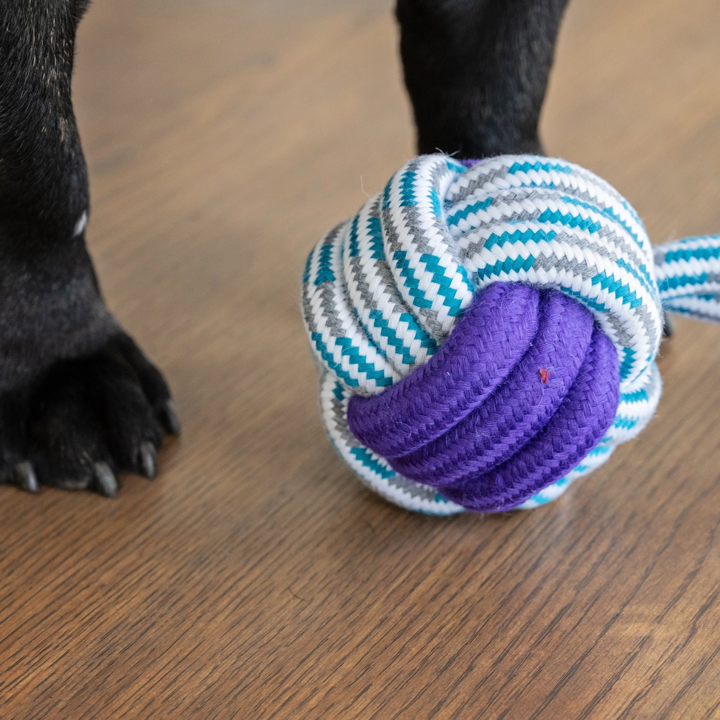 Dog's Life | Rope Knot Ball - Dog Toy