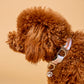 Für Sie | "Matteo" Stylish Dog Collar