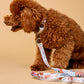 Für Sie | "Matteo" Stylish Dog Leash