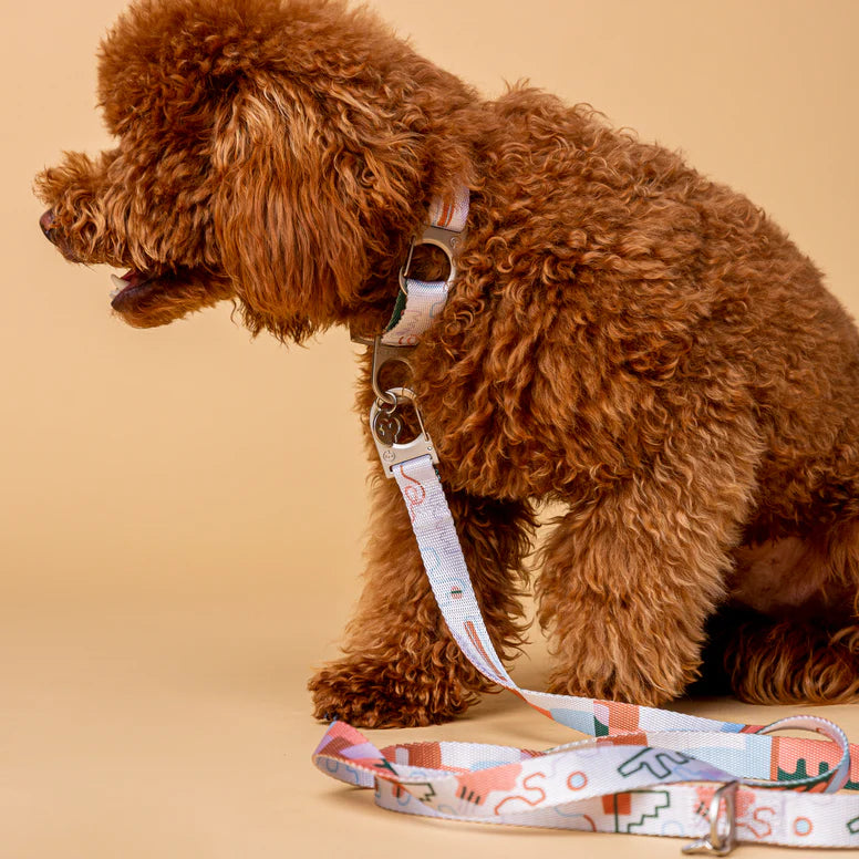 Für Sie | "Matteo" Stylish Dog Leash