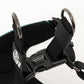 Dog Harness showing buckles and clasps, close up 