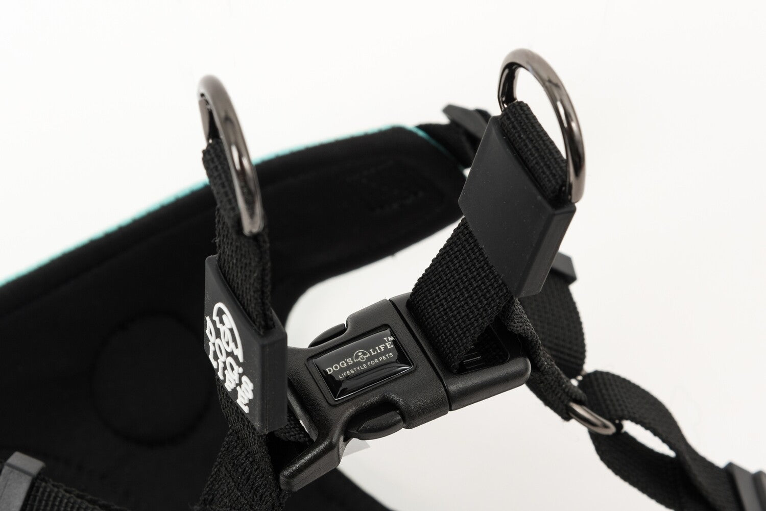Dog Harness showing buckles and clasps, close up 