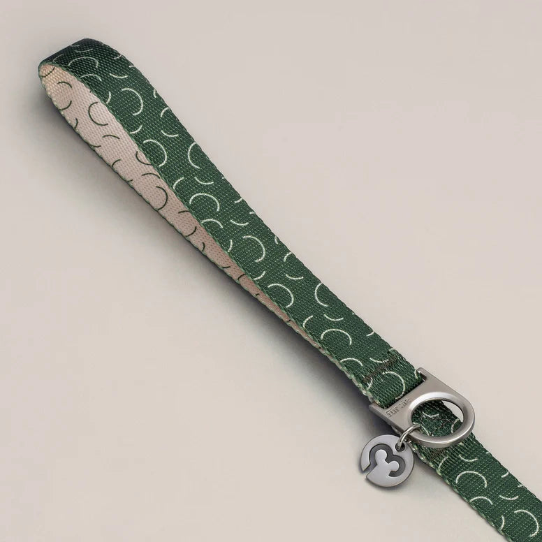 Dog Lead, Sabine close up of handle and buckle