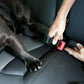 Seatbelt showing dog in car 