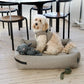 Nordog | Henny the Hippo (Grey)