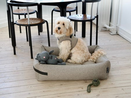 Nordog | Henny the Hippo (Grey)