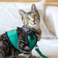 Cat Harness with Cat 
