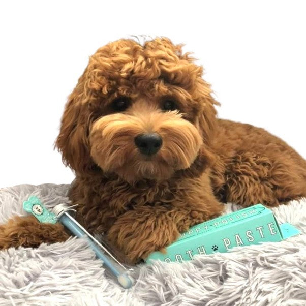 Wag & Bright Supply Co. | Puppy Polish Natural Dog Toothpaste