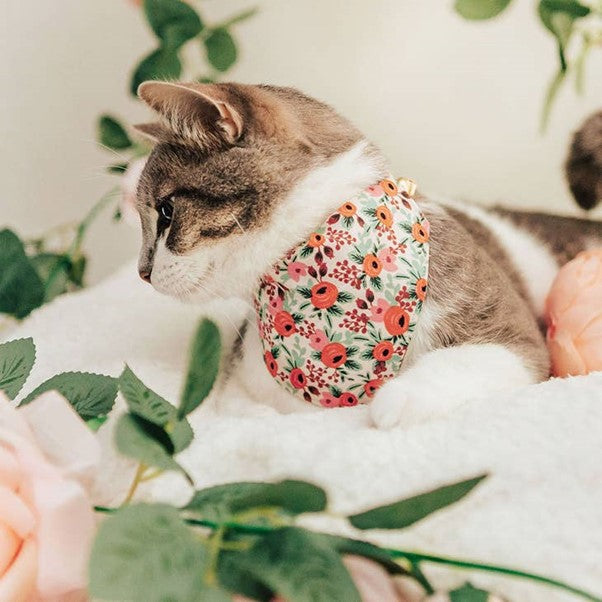 Made By Cleo | "Juliet" Bandana for Cats