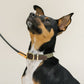 GULA | Dog Collar (Olive Green & Brown)