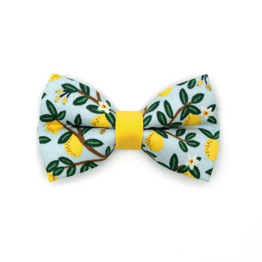 Made By Cleo | "Lemon Drops" Bow Tie for Cats