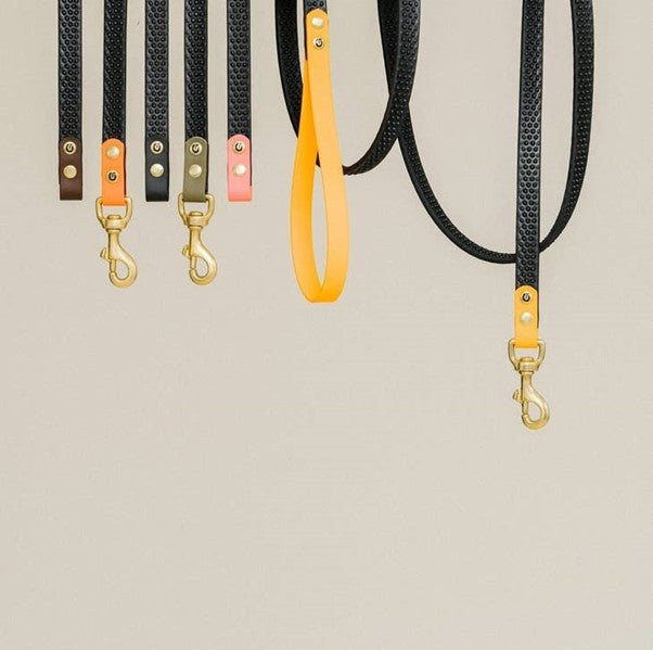 GULA | Rubber & Biothane Dog Leash