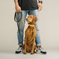 GULA | Rubber & Biothane Dog Leash