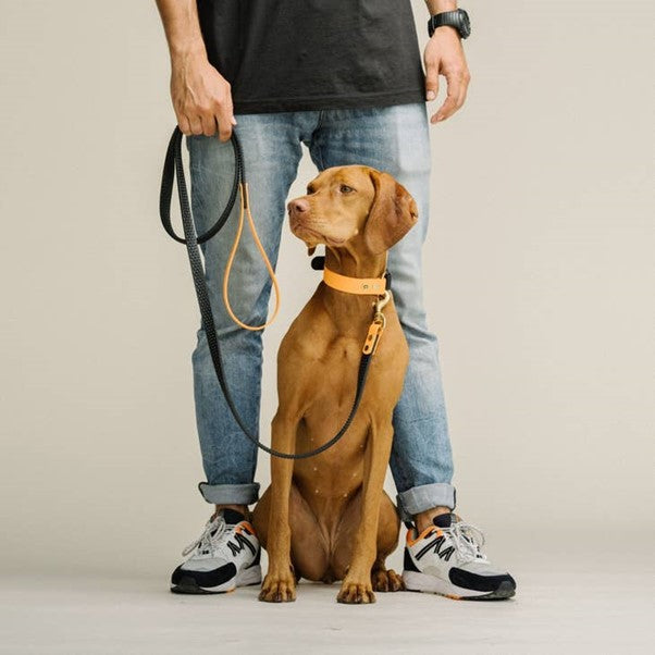 GULA | Rubber & Biothane Dog Leash