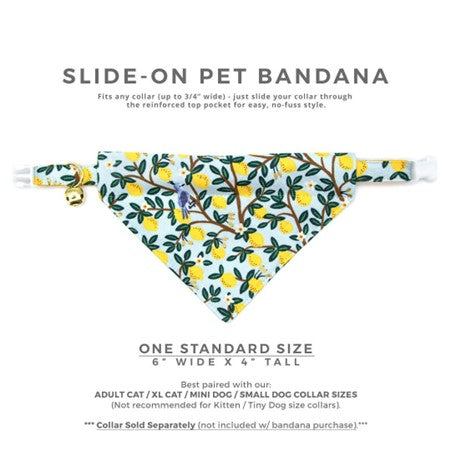 Made By Cleo | "Lemon Drops" Bandana for Cats