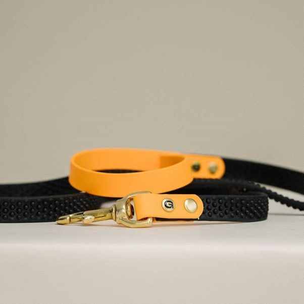 GULA | Rubber & Biothane Dog Leash