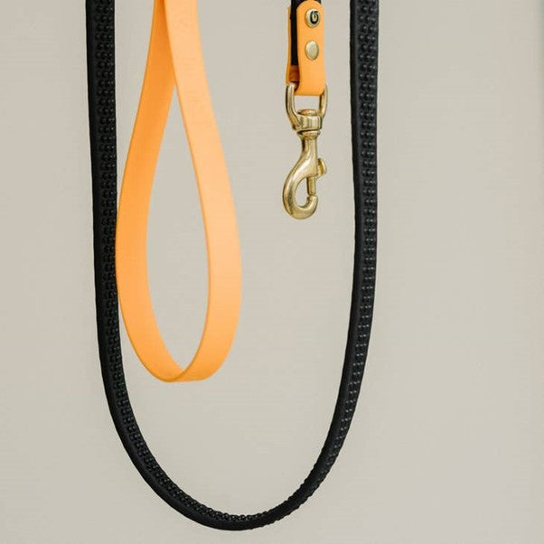 GULA | Rubber & Biothane Dog Leash