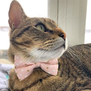 Made By Cleo | "Devotion Pink" Bow Tie for Cats