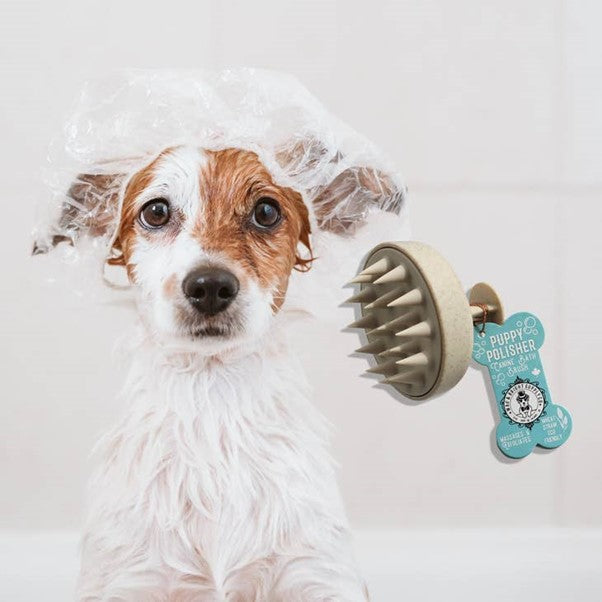 Wag & Bright Supply Co. | Biodegradable Shampoo Brush