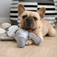Nordog | Dix the Donkey, Plush Toy for Dogs