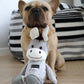 Nordog | Dix the Donkey, Plush Toy for Dogs