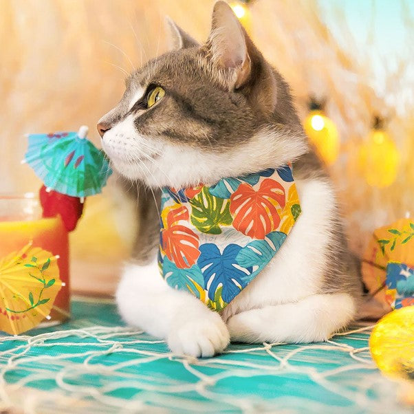 Made By Cleo | "Tiki Dreams" Bandana for Cats