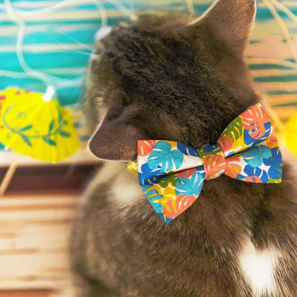Made By Cleo | "Tiki Dreams" Bow Tie for Cats