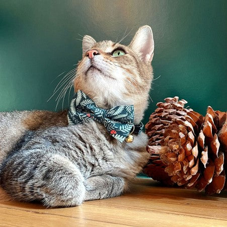 Made By Cleo | "Eden" Bow Tie for Cats