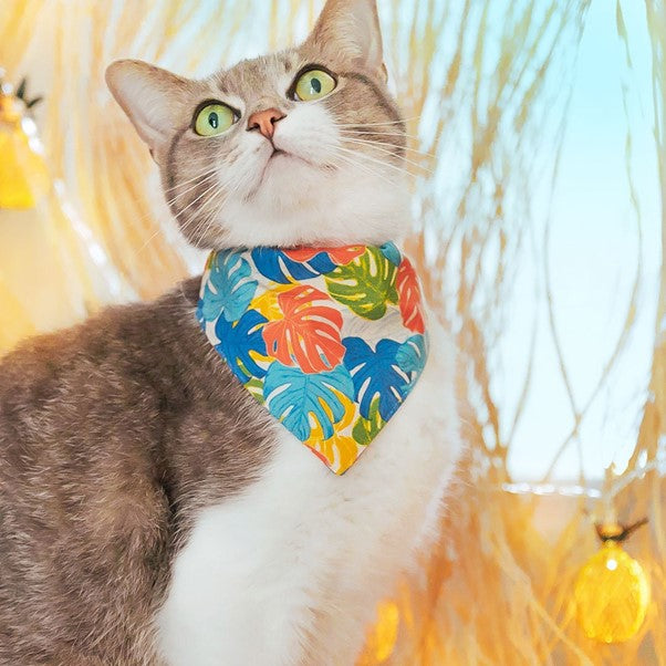 Made By Cleo | "Tiki Dreams" Bandana for Cats