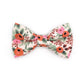 Made By Cleo | "Juliet" Bow Tie for Cats