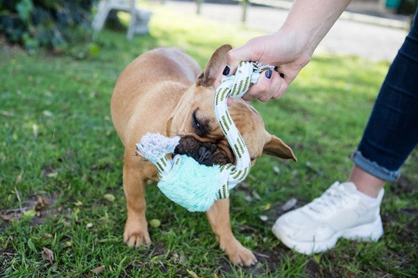 Dog's Life | Squeaky Furry Rope Dog Toy