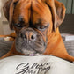Sniffe & Likkit | "Glove my Dog" - Deluxe Super Soft Natural Bamboo Towel