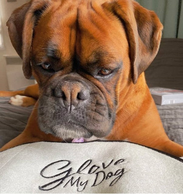 Sniffe & Likkit | "Glove my Dog" - Deluxe Super Soft Natural Bamboo Towel