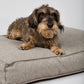 Hygge Dog Cushion (Cappuccino) by Nordog