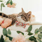Made By Cleo | "Juliet" Bow Tie for Cats